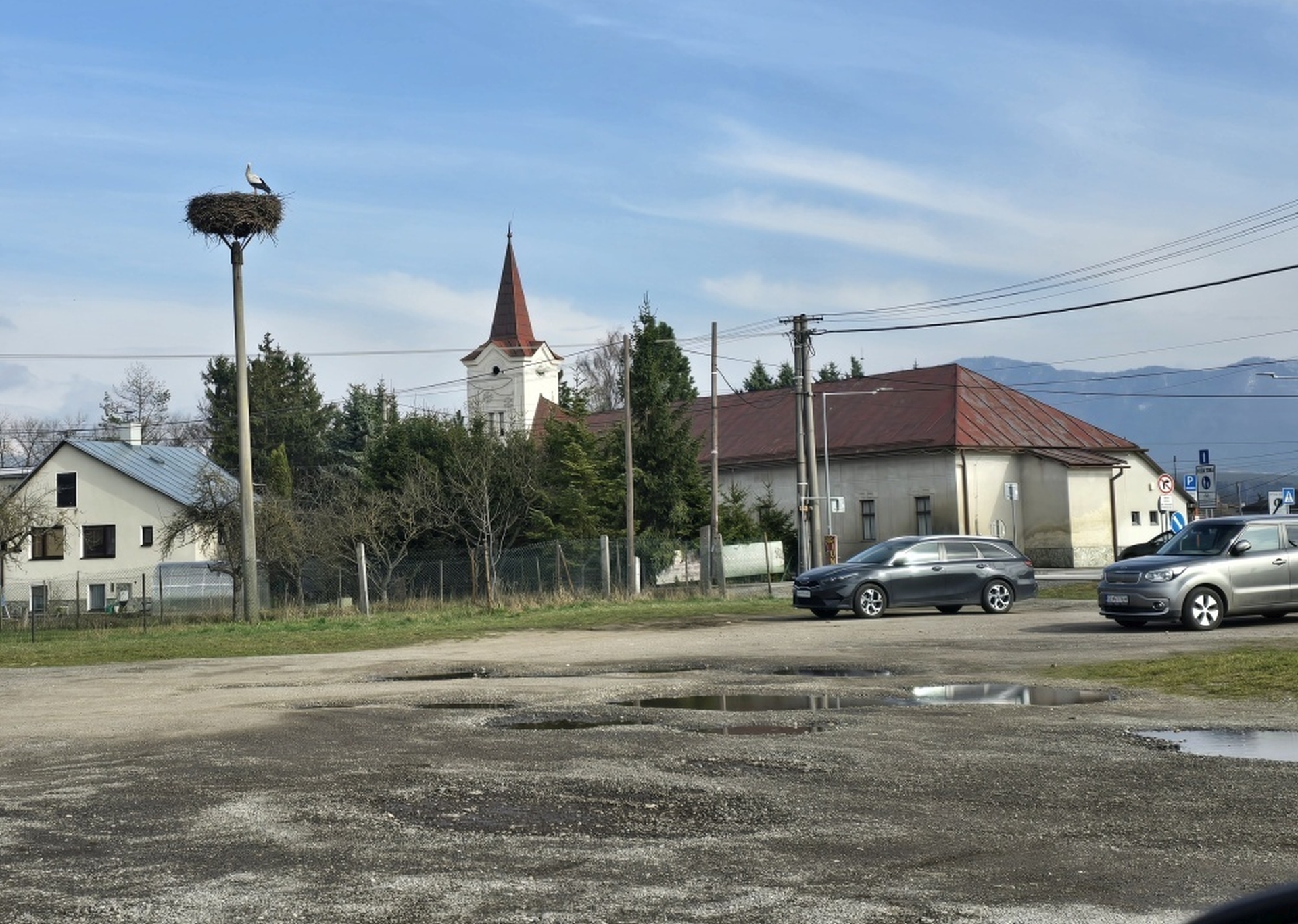 Turiec Online - Náš Bocko (Ciconia ciconia) je späť. Do Príboviec ...